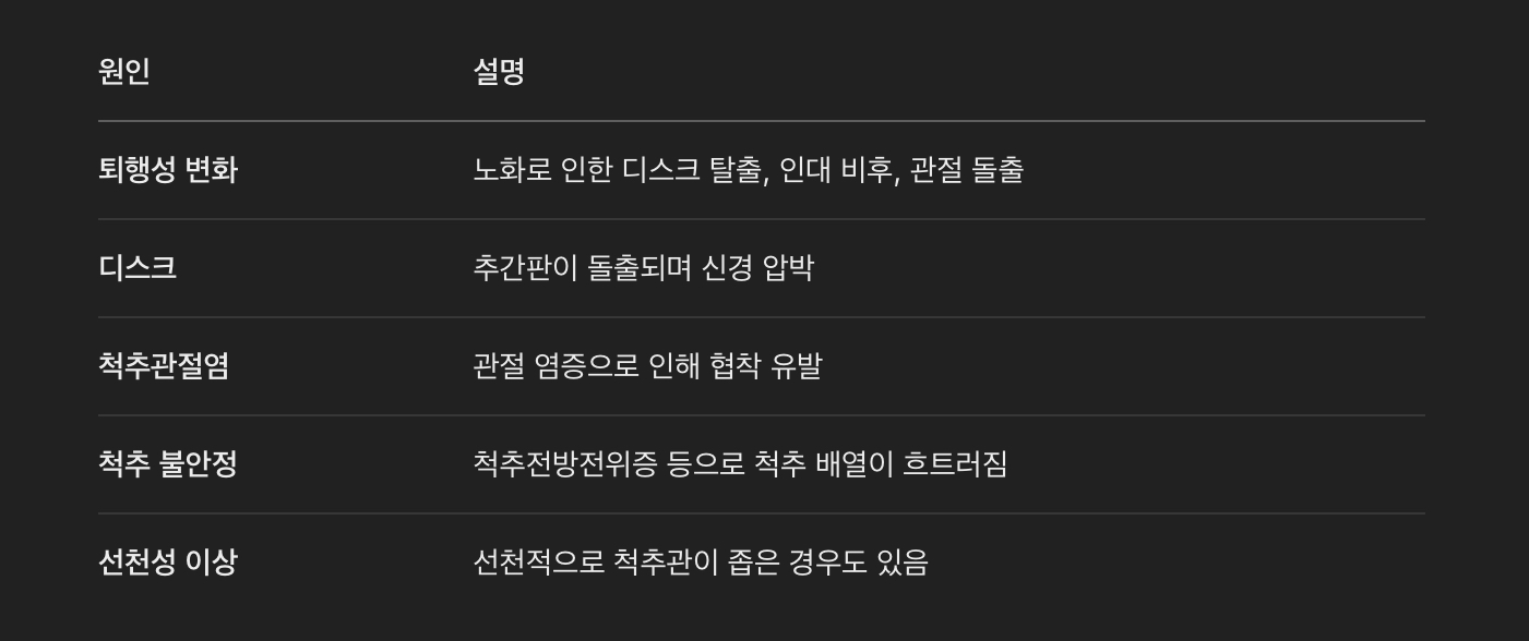 주요 원인