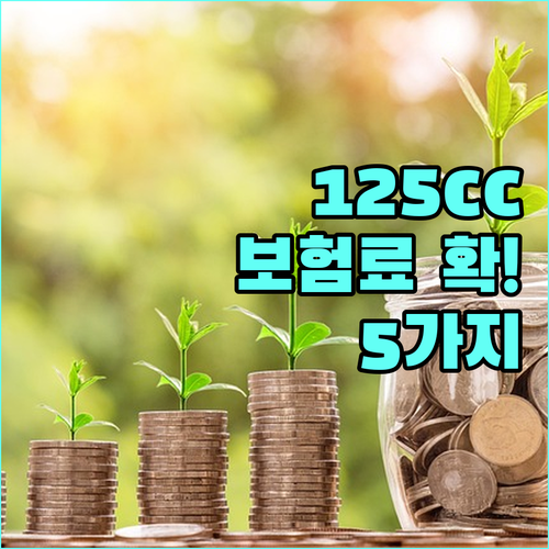 125cc 오토바이 보험료 확 깎는 ..