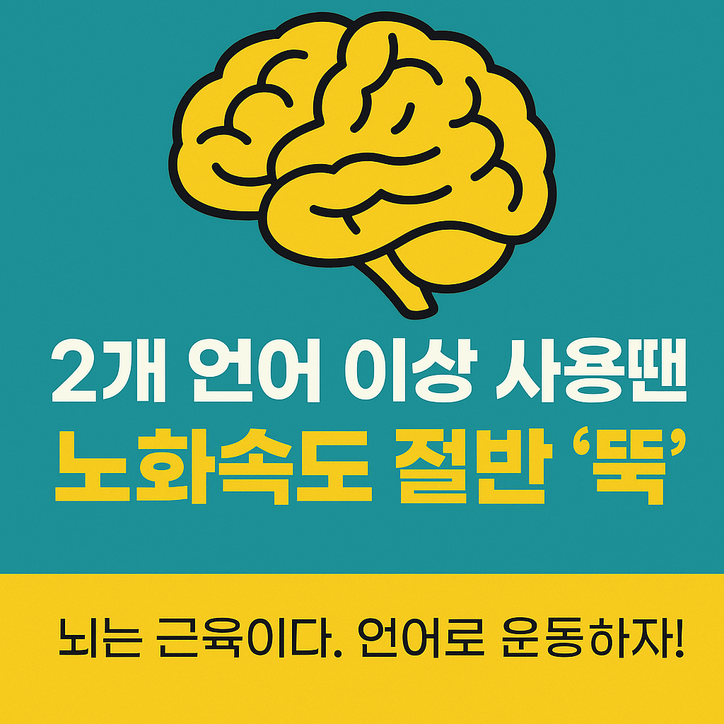 두 언어를 사용하면 뇌 나이가 절반으로! 젊음을 유지하는 언어 습관의 비밀