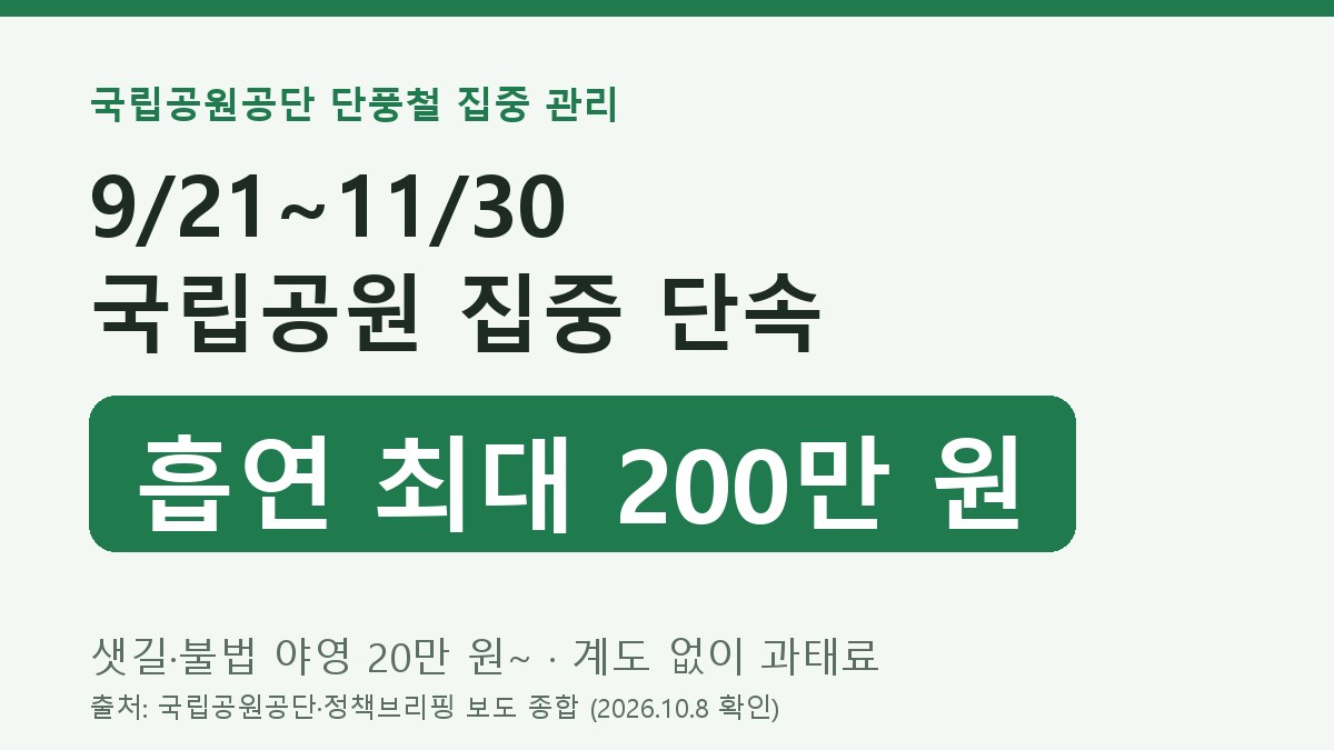 단풍철 국립공원 집중 단속 9월 21일~11월 30일, 흡연 최대 200만 원 과태료