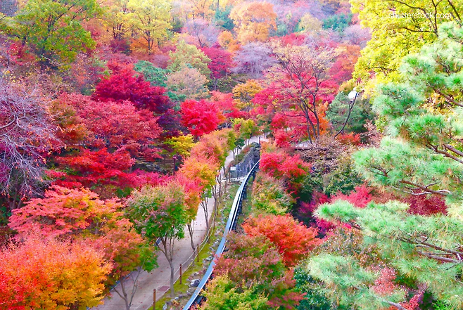 산림청 추천 단풍놀이 명소 5곳
