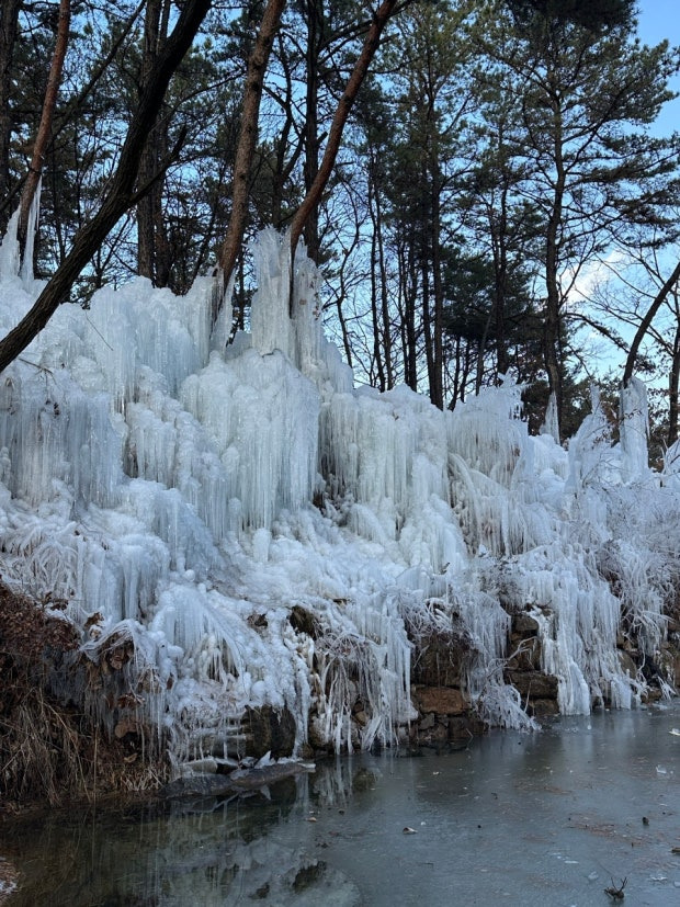 지금 가장 예쁜 설경 4선 겨울 여행 지금 떠나야 할 이유