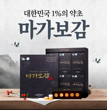 마가보감