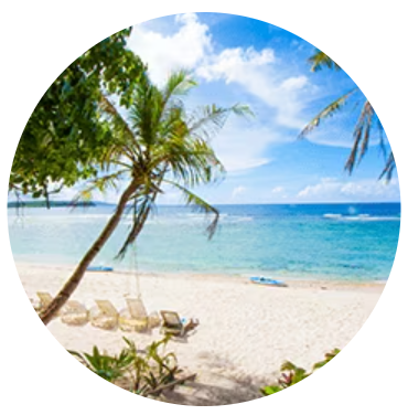 2024 제주항공 얼리버드 찜특가