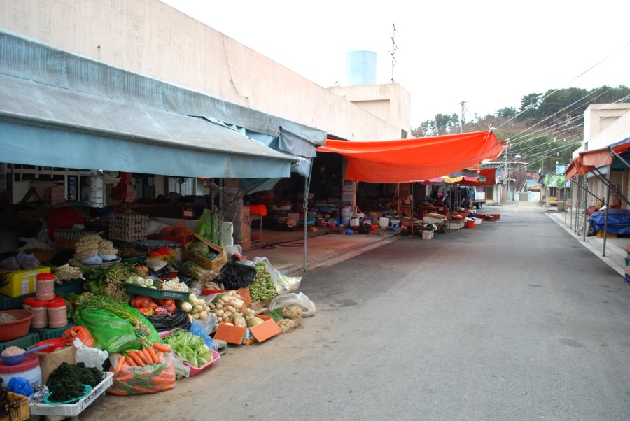 고성군 회화면 배둔리 마을 풍경