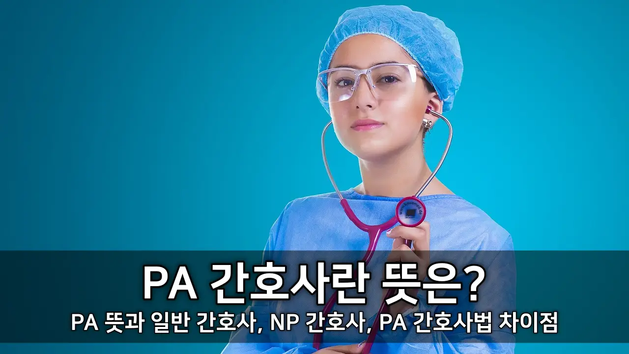 PA 간호사란 뜻은? - PA 뜻과 일반 간호사, NP 간호사, PA 간호사법 차이점
