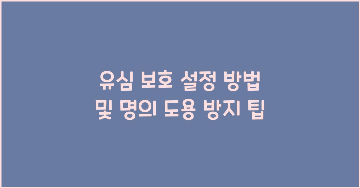 유심 보호 설정