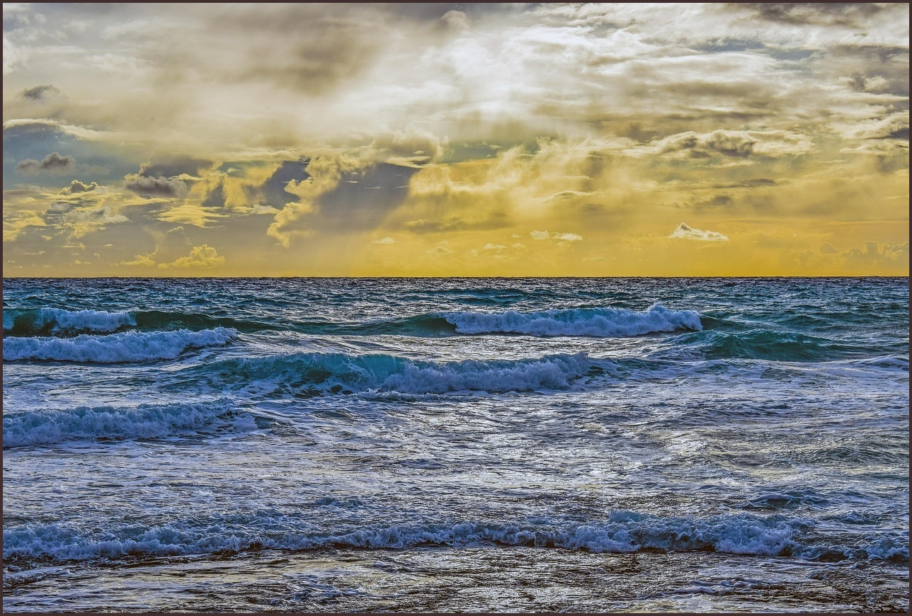 코나 하이브리드 가격