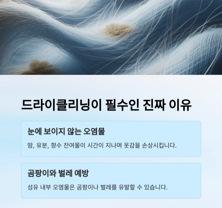 계절 옷 진공포장 전 드라이클리닝이 꼭 필요한 이유