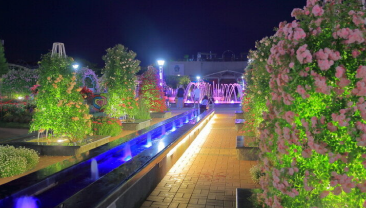 곡성 세계장미축제