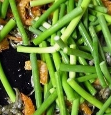 마늘쫑 효능 부작용 고르는법 칼로리