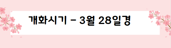 봄꽃 여행지