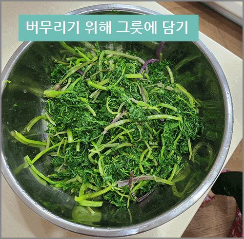 당뇨에 좋은 음식 바디나물 무침&#44; 버무리기 위해 그릇에 담기