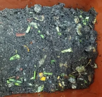 농사 퇴비 만들기 낙엽 음식물 왕겨 EM발효 쉬운 방법_4