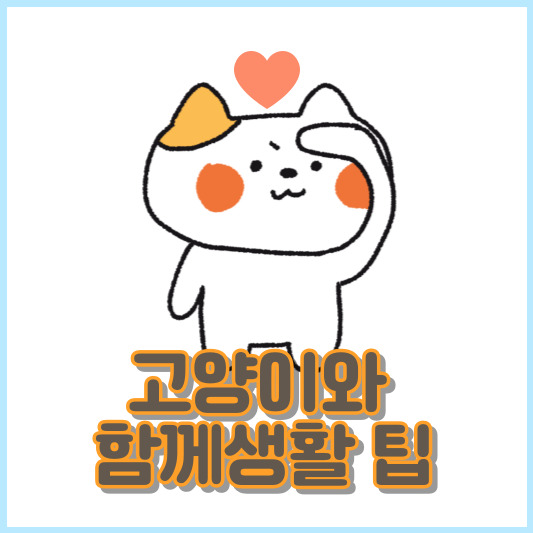 고양이와함께생활팁