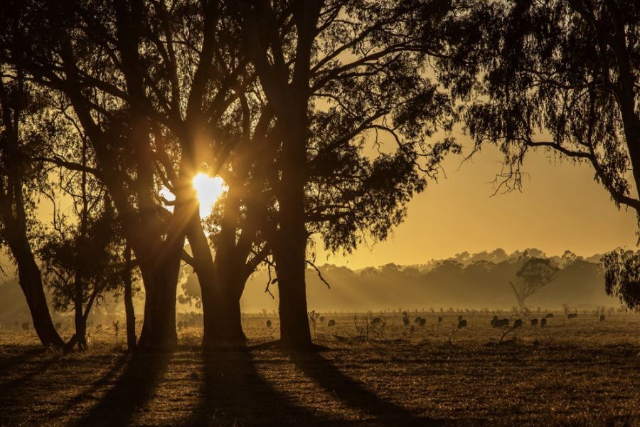 시골생활에 익숙해지기까지 예상보다 시간이 더 필요한 이유