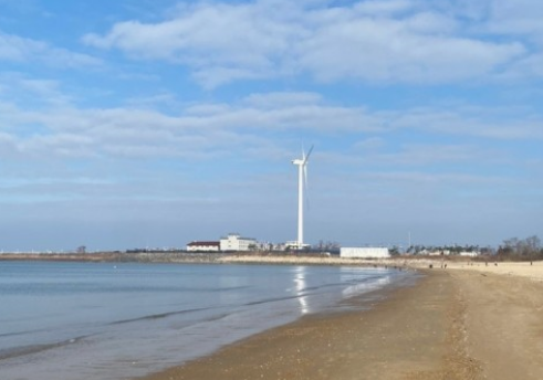 경기도 봄꽃명소