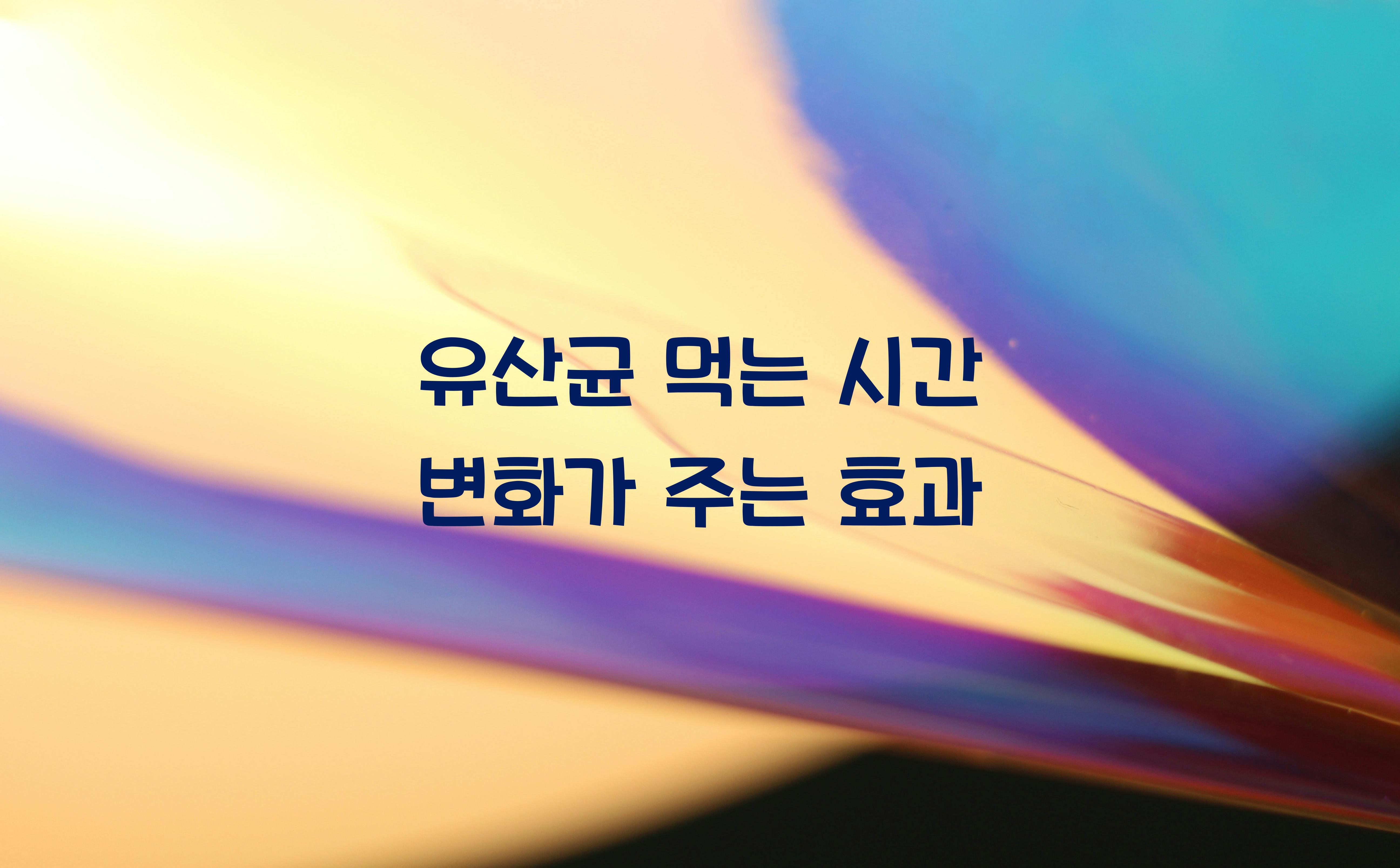 유산균 먹는 시간