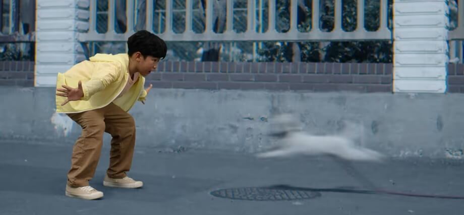 강아지를 막아보려는 귀주