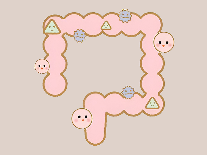 콜레스테롤-수치-감소