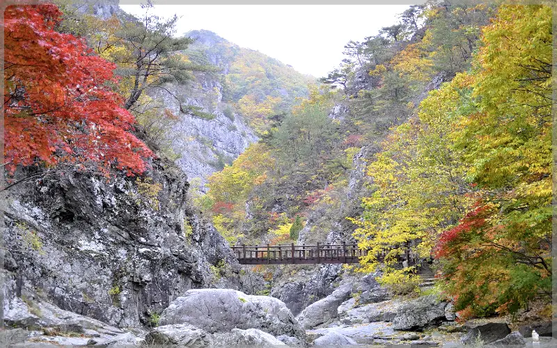 주왕산 국립공원 단풍_15