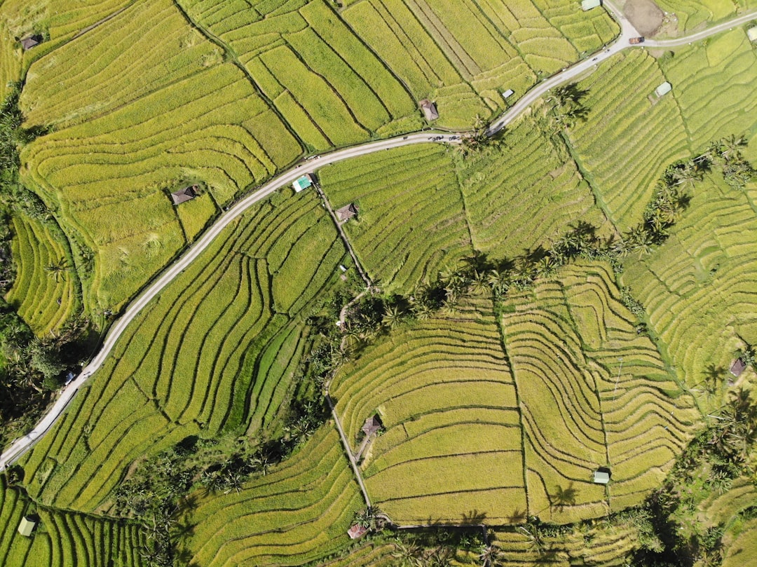 Andong Hahoe Village
