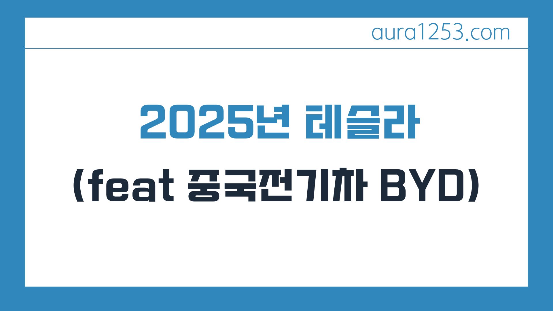 2025년 테슬라 주식 평가 분석 (feat 중국전기차 BYD)