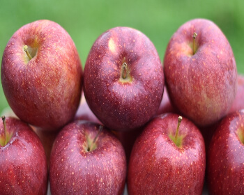 문경사과축제_1