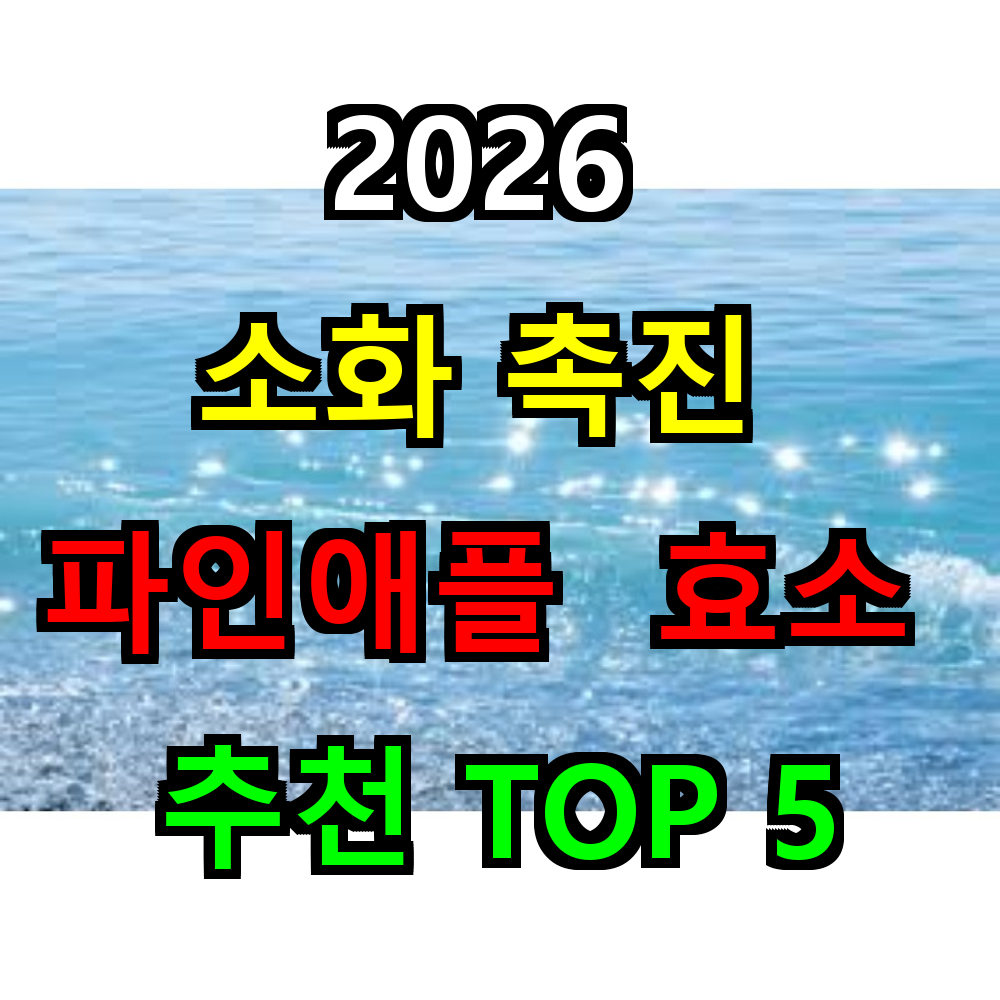 2026 브로멜라인 효소 추천 TOP 5