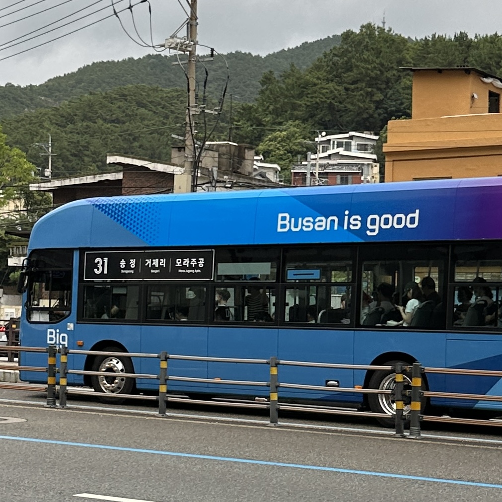 부산31번버스
