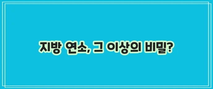 엘 카르니틴 효능과 부작용 섭취량까지 알아봐야겠죠
