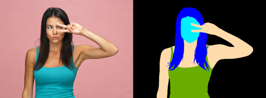 Mediapipe SelfieMulticlass