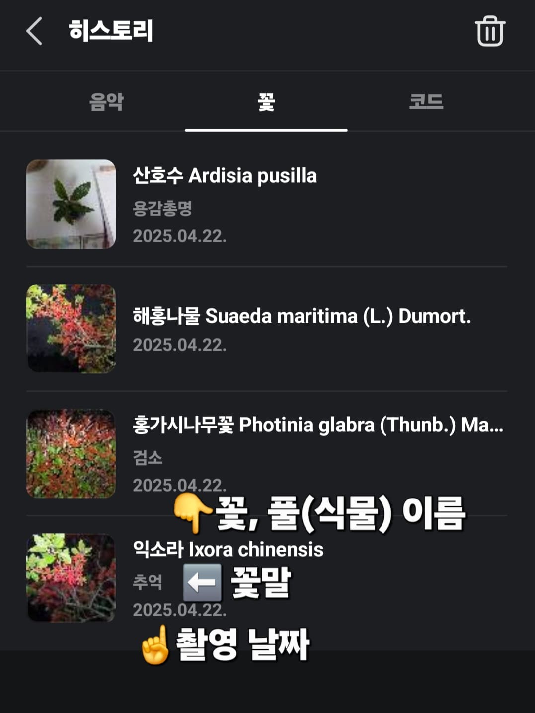다음(Daum)-꽃검색-방법-안내-지금까지-검색했던-꽃들의-목록이-나타나며&amp;#44;-꽃&amp;#44;-풀&amp;#44;-식물-사진의-이름&amp;#44;-검색-날짜와-함께-해당-꽃의-꽃말도-확인할-수-있습니다.