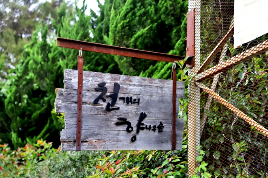 특색있고 아름다운 민간 정원 30선 추천 여행 - 30. 구례 천개의 향나무숲 정원