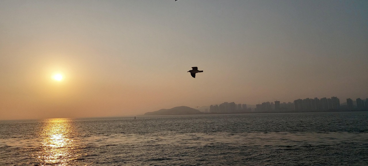 인천 바다 노을 사진