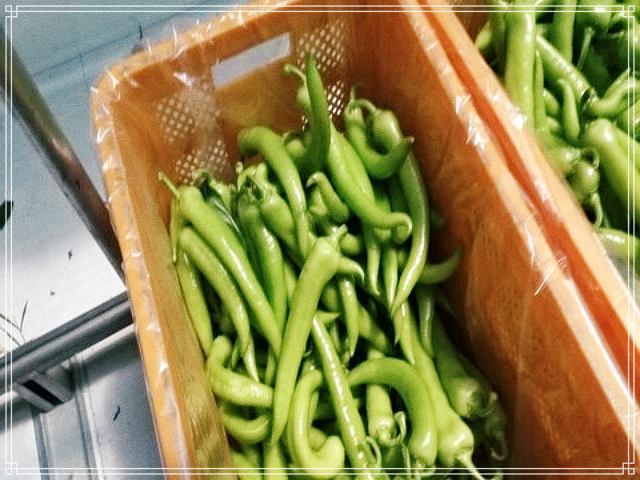 휴먼다큐 사노라면 592회 혈당 조절, 당뇨 잡는 모악산 당조고추 전국 온라인 택배 주문, 열혈 고추 엄마의 딸 부부 길들이기 사연 방송 정보 다시보기