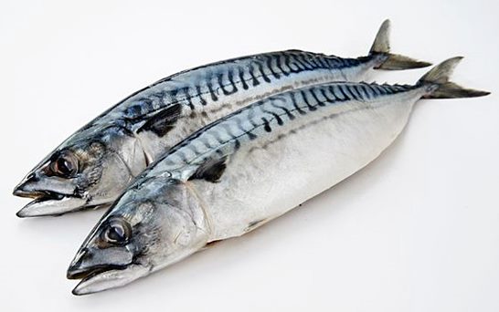 비타민d 하루 권장량