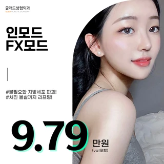 대전 인모드