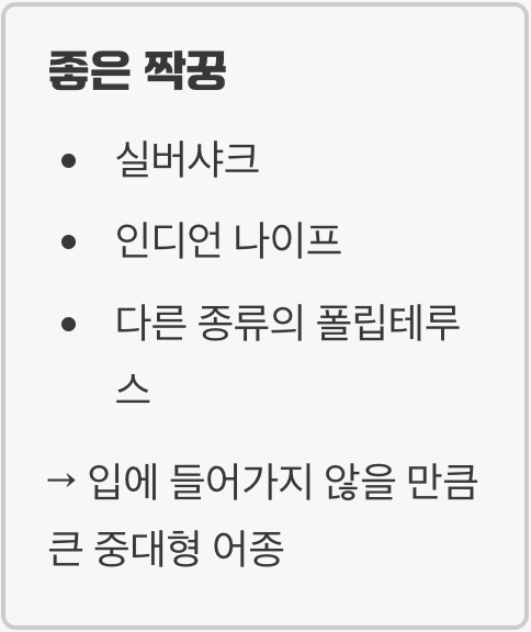 누구와 함께 살 수 있을까? (합사)