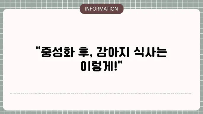 강아지 중성화수술후 식사
