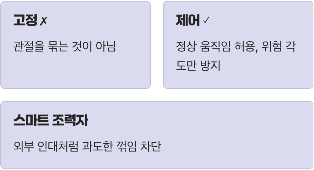 갑옷이 아닌, 외부의 인대
