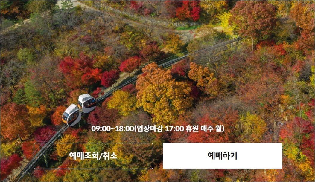 화담숲 공식 홈페이지