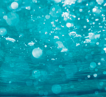 피부 탄력에 좋은 음식 - 물