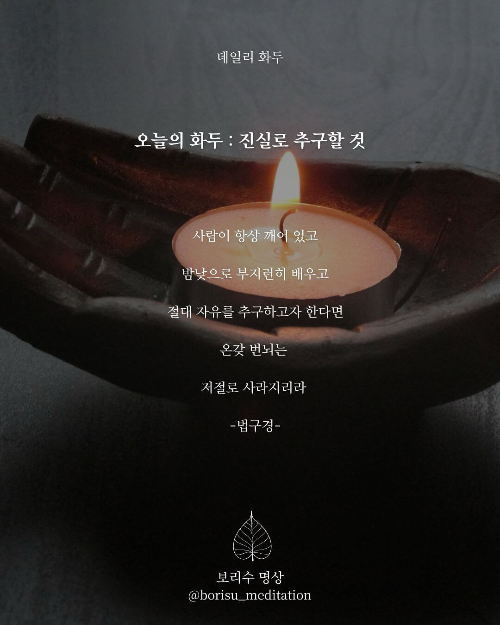 환희지의 보리수 명상 : Day 12 화두 : 진실로 추구할 것