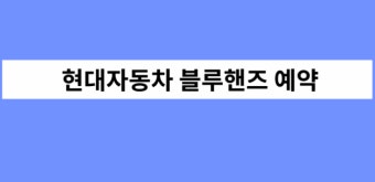 현대 블루핸즈 토요일 영업시간