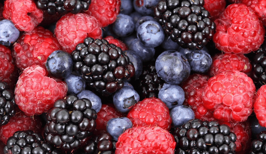 활성산소 제거 음식 여러 가지 베리류가 섞여 있다