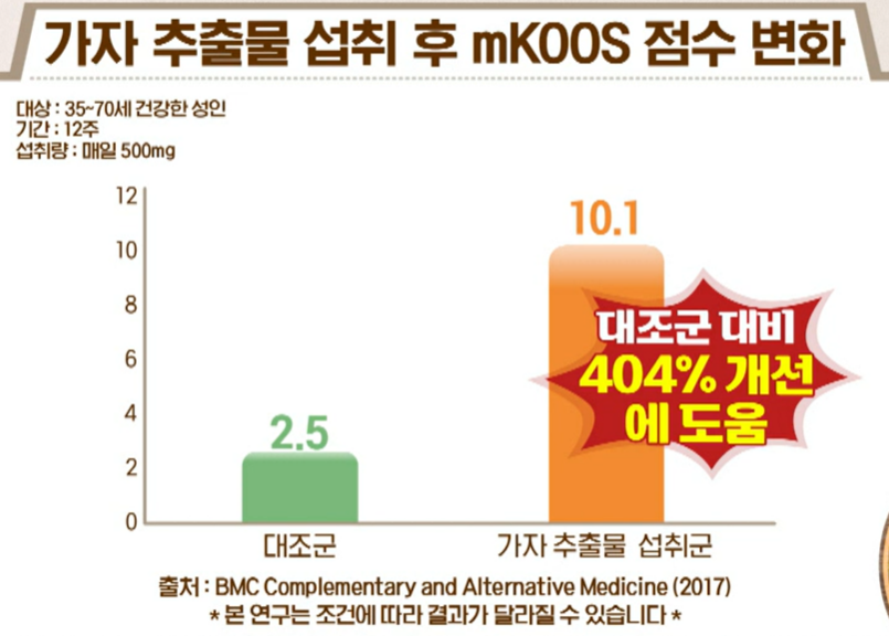 가자추출물 효능