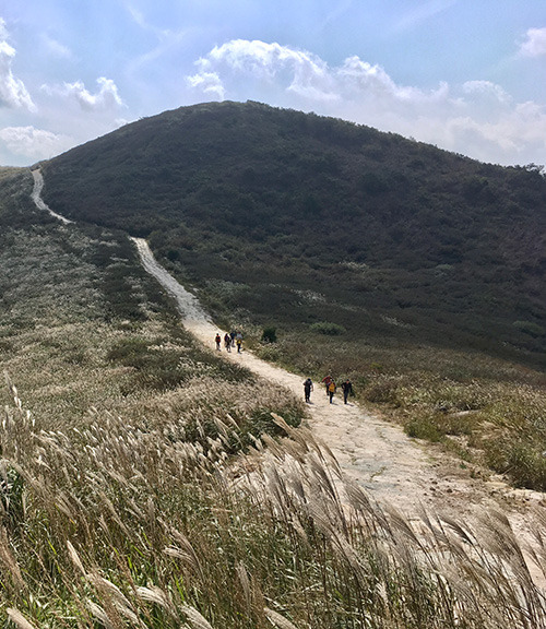황매산 억새축제 2025, 합천 하늘정원에서 즐기는 가을축제