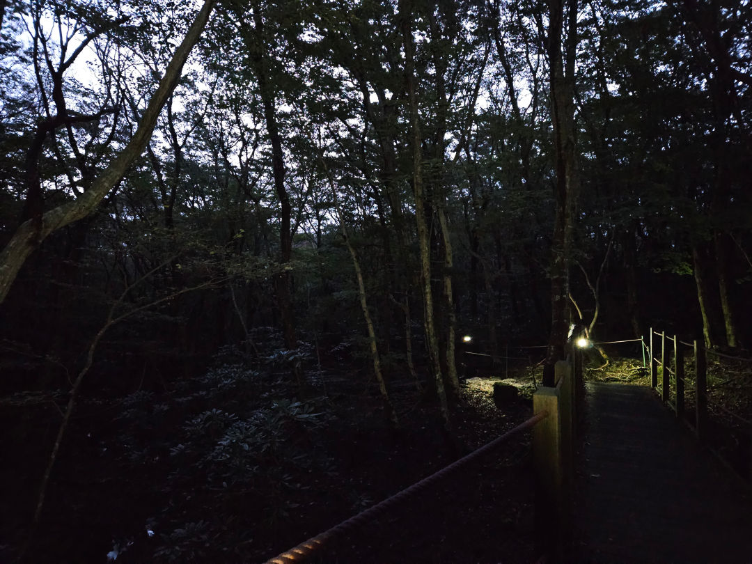 한라산 새벽 등산