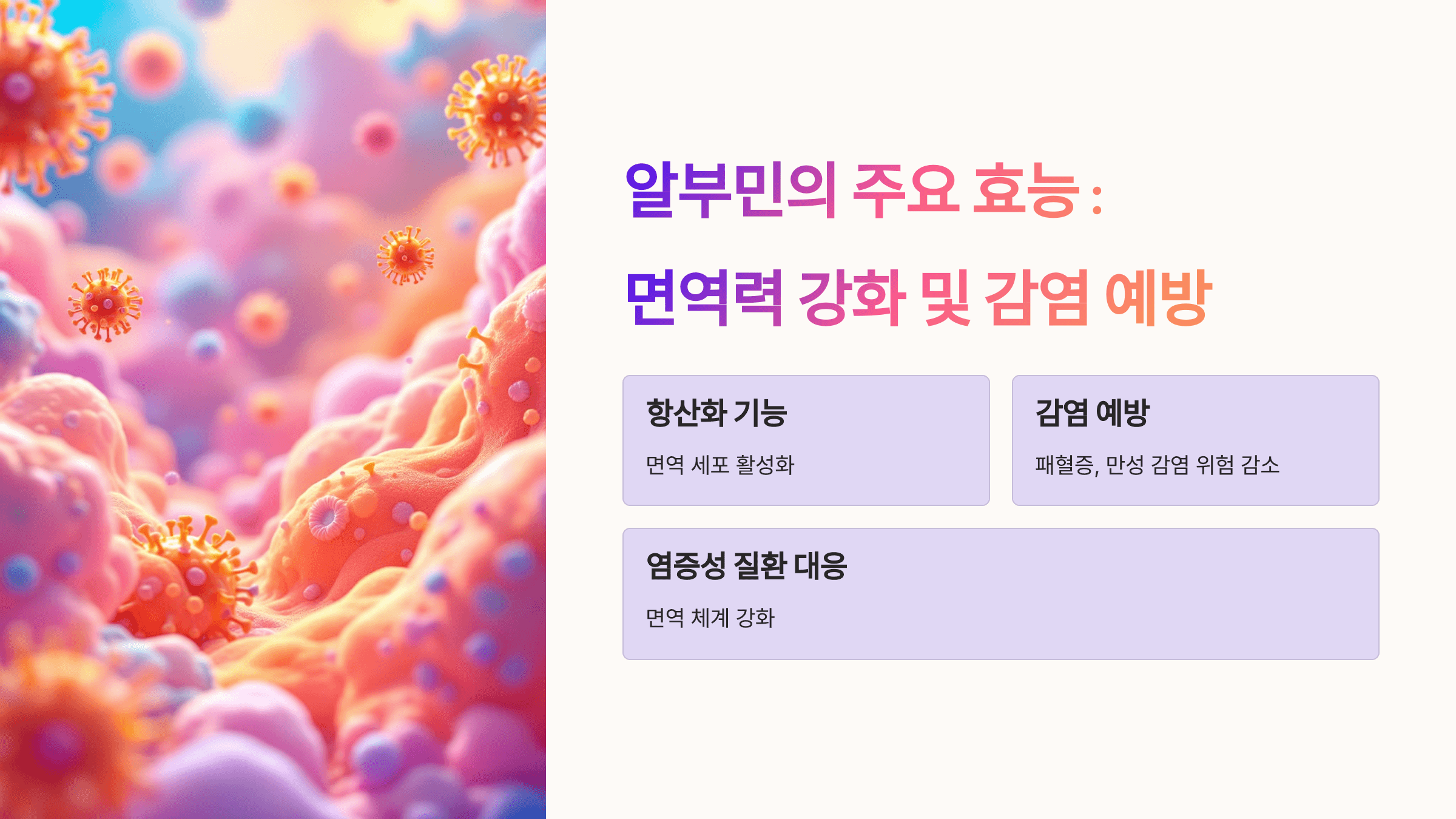 알부민과 관련된 사진입니다.